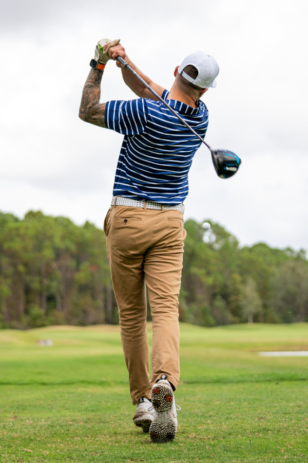 THE PALMETTO