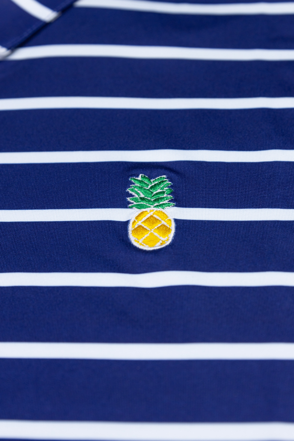 THE PALMETTO